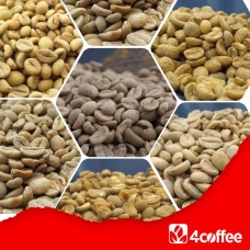 Směs Caffé Delicato - 100% Coffea Arabica